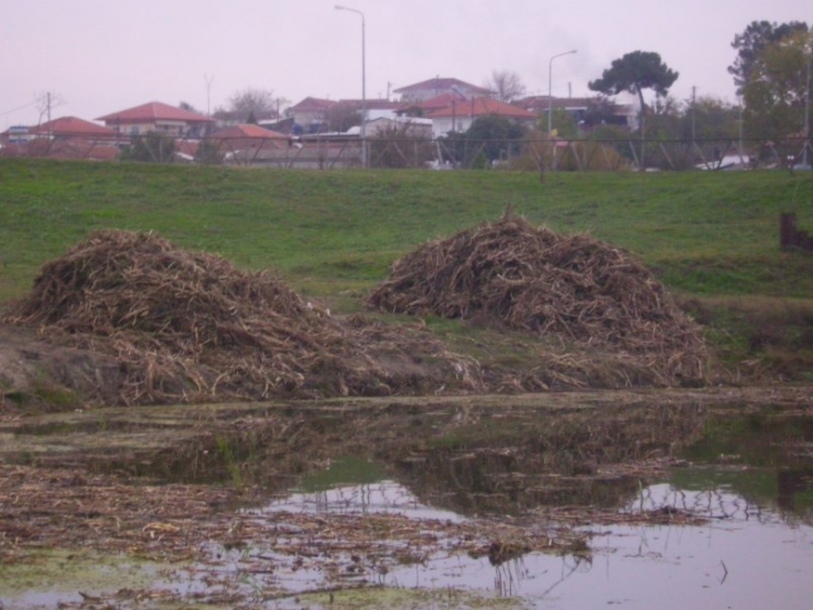 &Kappa;&Alpha;&Theta;&Alpha;&Rho;&Iota;&Sigma;&Mu;&Omicron;&Sigma; &Kappa;&Alpha;&Lambda;&Alpha;&Mu;&Iota;&Omega;&Nu; 10-11-2012