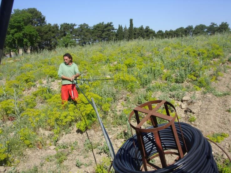 &Delta;&Epsilon;&Nu;&Delta;&Rho;&Omicron;&Phi;&Upsilon;&Tau;&Epsilon;&Upsilon;&Sigma;&Eta;  2010