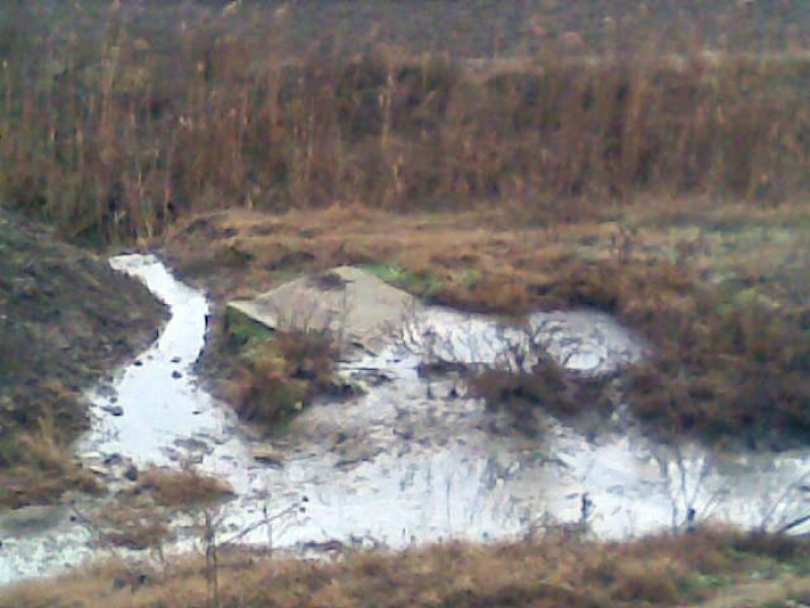 &Delta;&epsilon;&lambda;&tau;ί&omicron; &Tau;ύ&pi;&omicron;&upsilon; &gamma;&iota;&alpha; &rho;ύ&pi;&alpha;&nu;&sigma;&eta; &sigma;&tau;&omicron; &Delta;.&Delta; &Pi;&epsilon;&theta;&epsilon;&lambda;&iota;&nu;&omicron;ύ